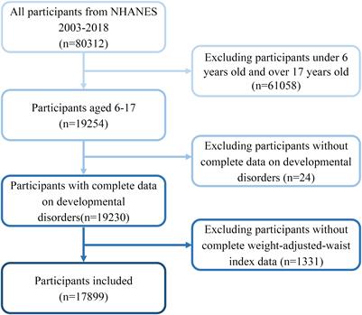 Relationship of weight-adjusted waist index and developmental disabilities in children 6 to 17 years of age: a cross-sectional study